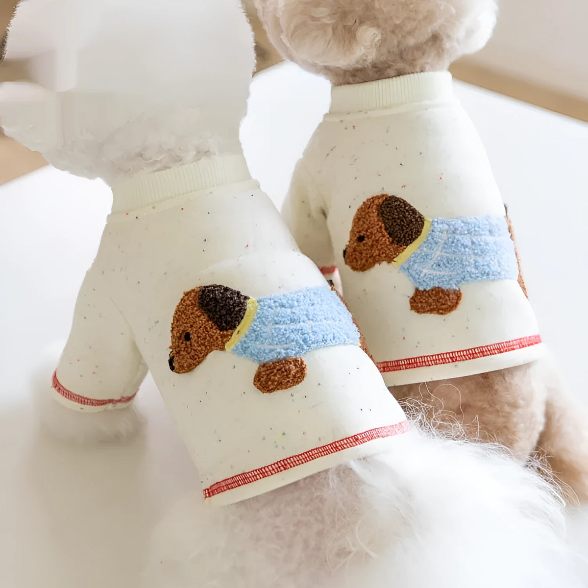 White brushed teddy pet hoodie for dogs and cats, sizes 2XS to 3XL, casual autumn winter homewear