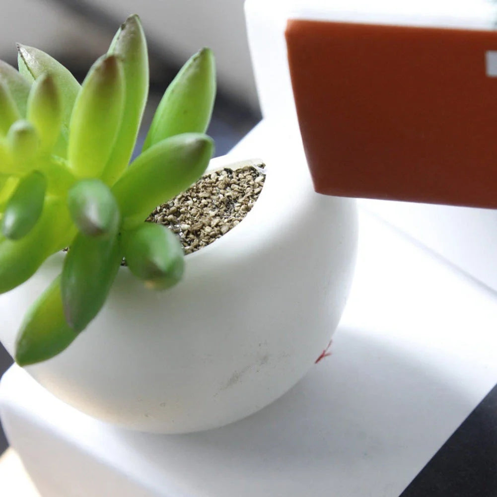 Realistic-looking succulent fridge magnets in various styles, designed to add natural charm and low-maintenance decor to any kitchen or home