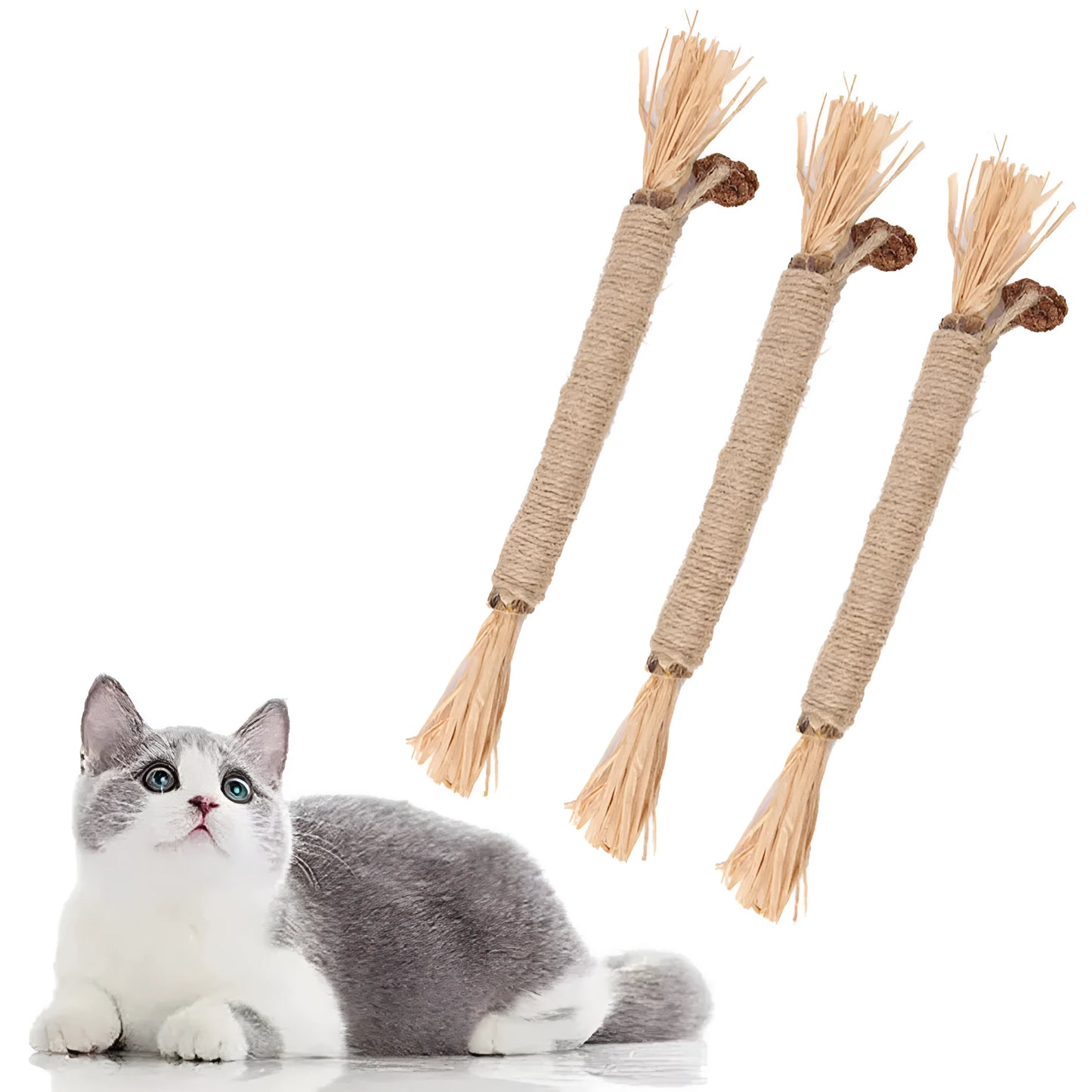 Natural silvervine chew sticks for cats with sisal rope for dental care, showing thick and fine diameter options