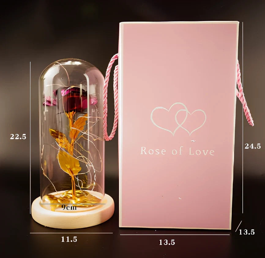 Little Prince Rose Glass Cover with 20cm diameter dome protecting plastic flower arrangement