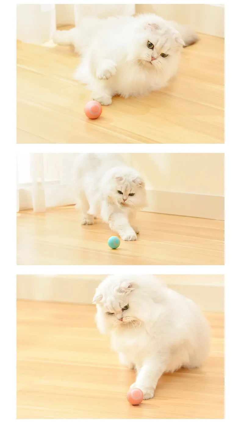 Green automatic rotating ball cat toy with 43mm diameter for interactive pet play