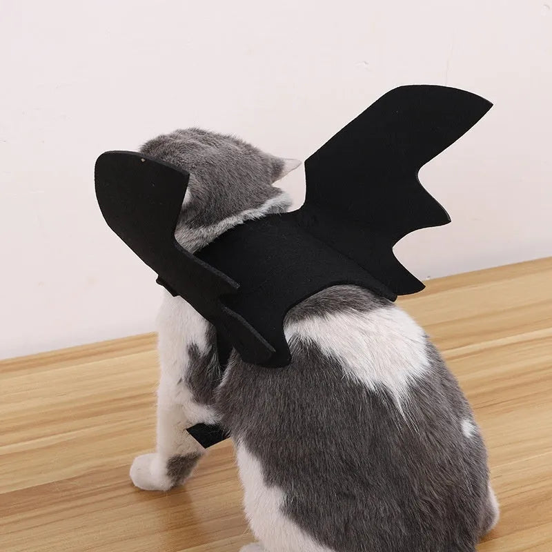 Black felt Halloween pet costume with bat wings and a bell for a dog on a orange background