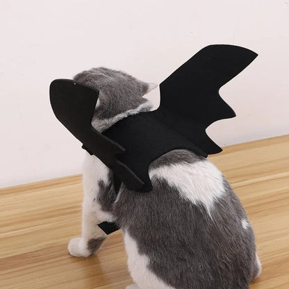 Black felt Halloween pet costume with bat wings and a bell for a dog on a orange background
