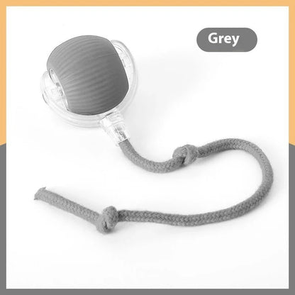 Interactive cat toy ball with automated features, rolling across various surfaces to engage and entertain your feline friend