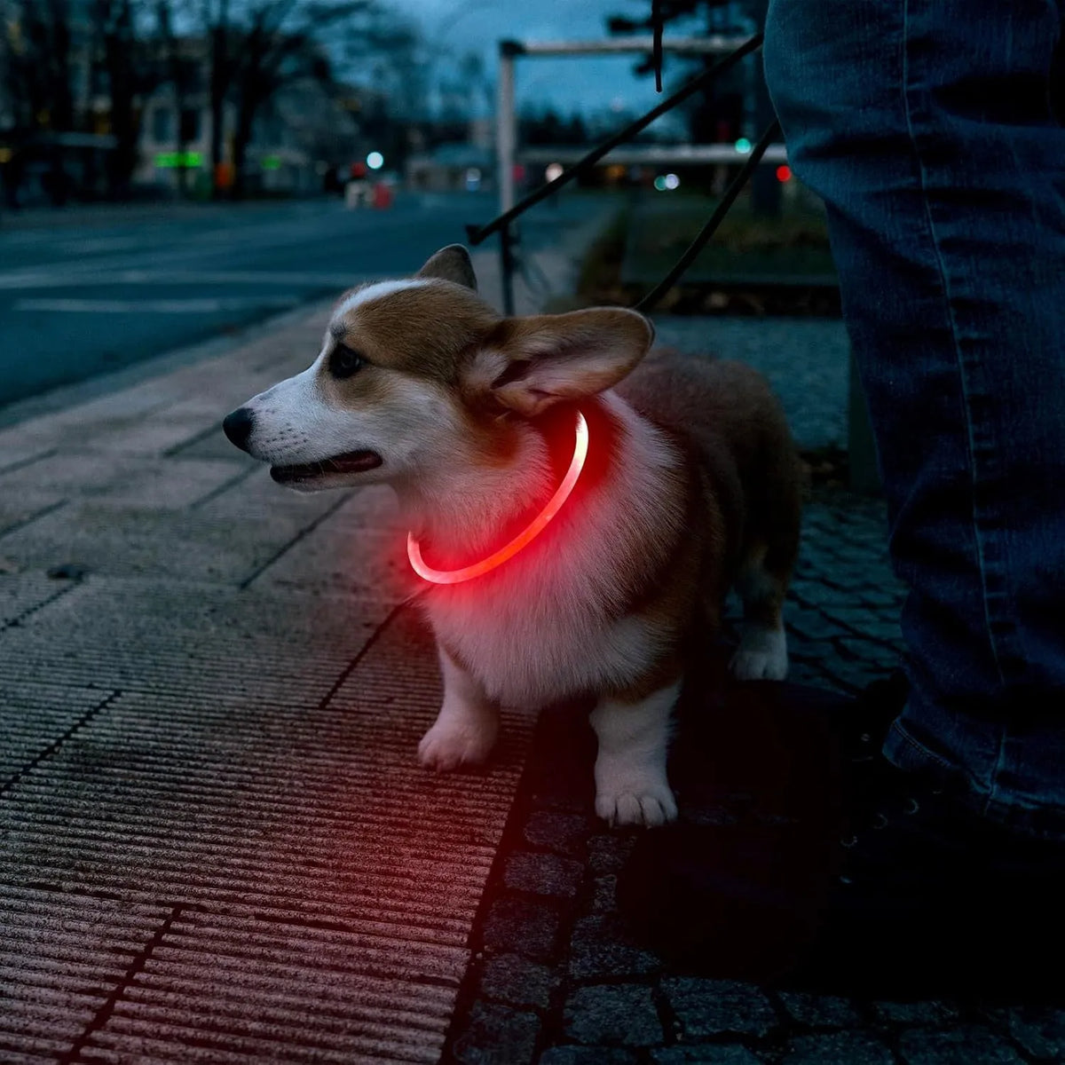 Blue USB rechargeable LED dog collar with glow lights, adjustable 70cm length for pet safety.