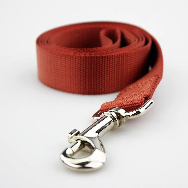 Solid colour polyester dog leash rope in hand, showing various width and colour options.