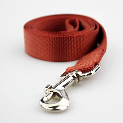 Solid colour polyester dog leash rope in hand, showing various width and colour options.
