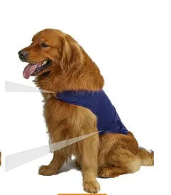 Dog wearing brown anxiety compression vest tank top for separation anxiety relief