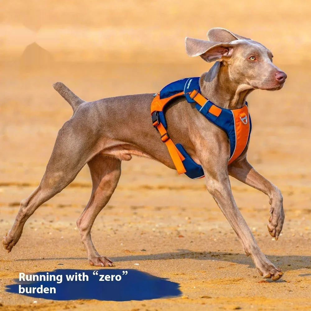 Nylon dog chest strap vest harness in orange blue colour with adjustable rope design