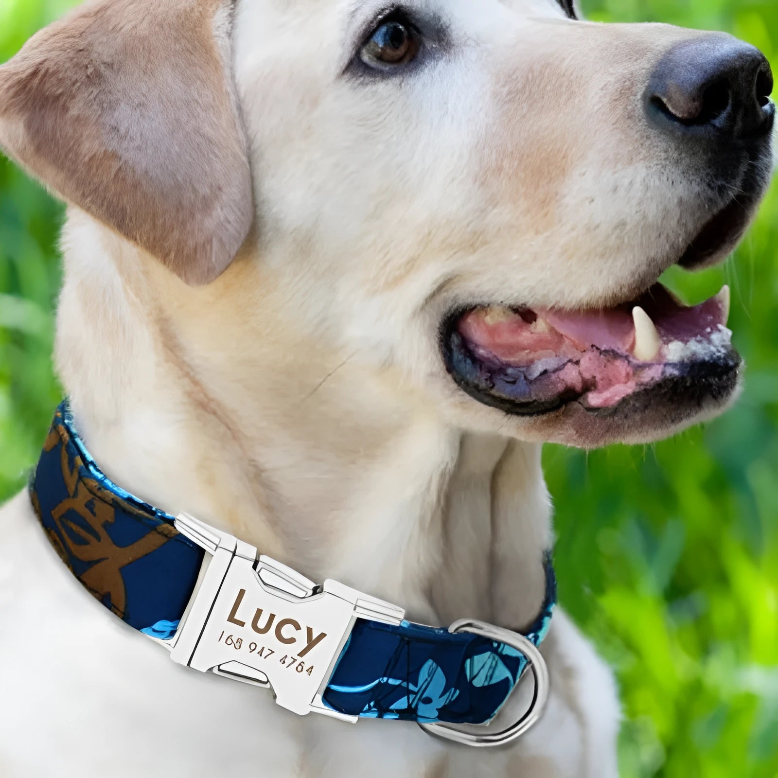 Adjustable dog collar in black, green, or rose red with buckle fastening in small, medium, or large sizes