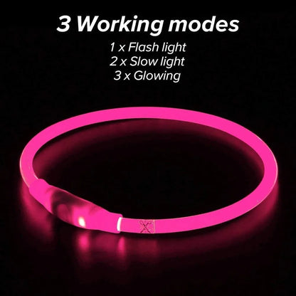 Blue USB rechargeable LED dog collar with glow lights, adjustable 70cm length for pet safety.