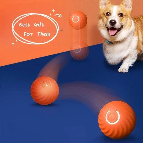 Durable rubber dog ball toys in bright colours for bite resistance and training