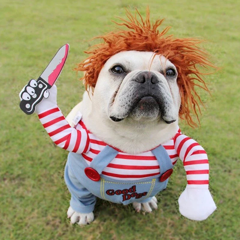 A spooky and adorable Halloween costume for dogs, featuring a menacing mask, ominous accessories, and adjustable design for a comfortable fit.