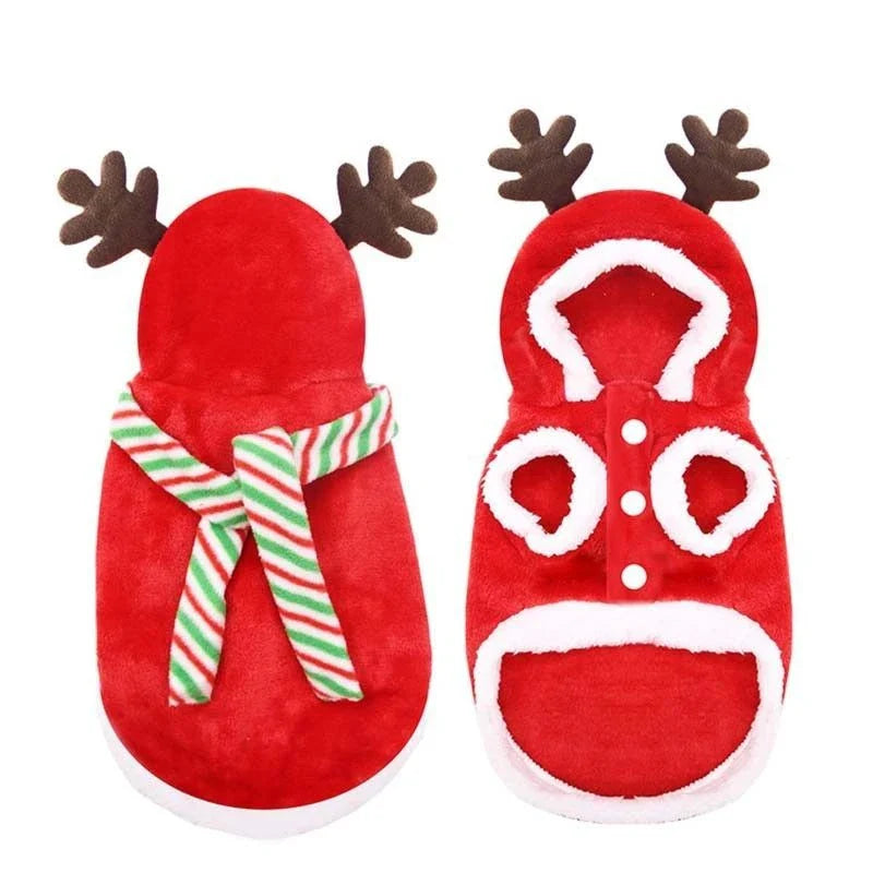 Stylish pet clothing collection featuring a range of cozy and fashionable outfits for dogs and cats
