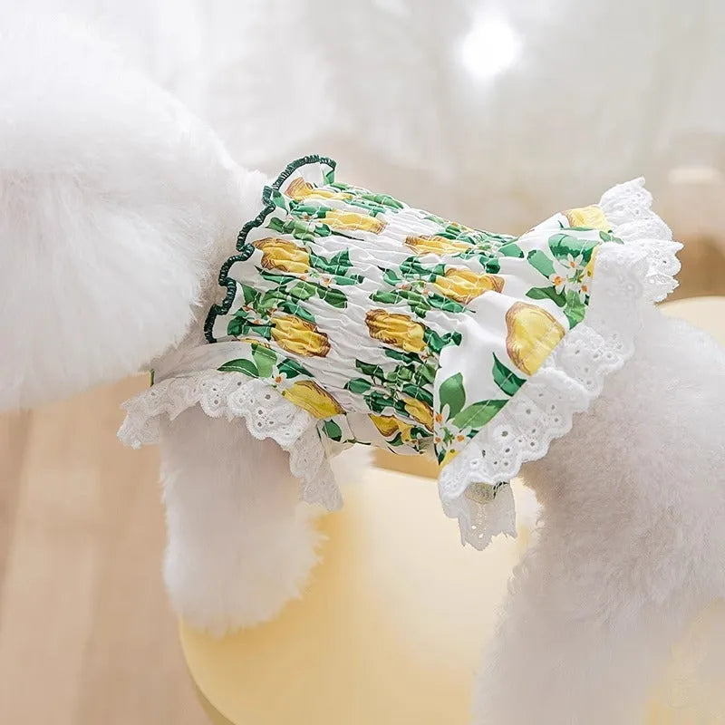 Small dog dress pet clothing strap skirt with thin breathable fabric in princess style, available in rock yellow lemon colour and sizes XS to XXL for dogs weighing 0.50kg to 10.00kg