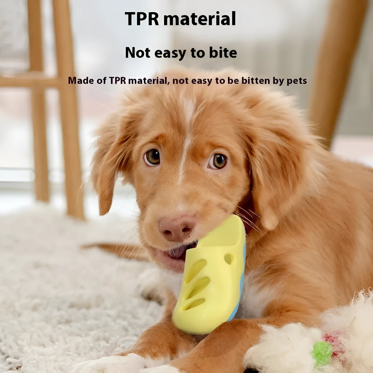 TPR rubber dog bathing massage brush in blue and yellow colour options with different head patterns