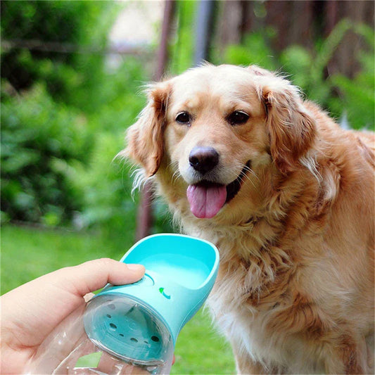 Durable, leak-proof pet water bottle with one-touch button for easy, mess-free hydration on the go