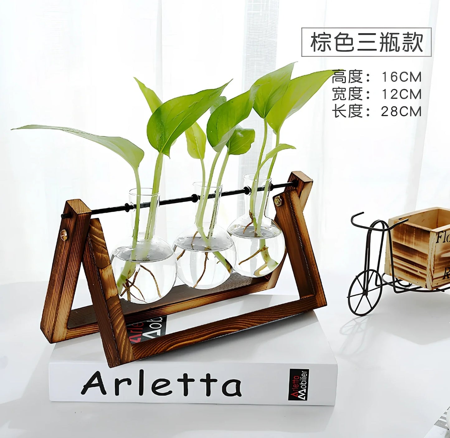 Glass tabletop plant with LED lighting in tempered glass enclosure measuring 15cm diameter