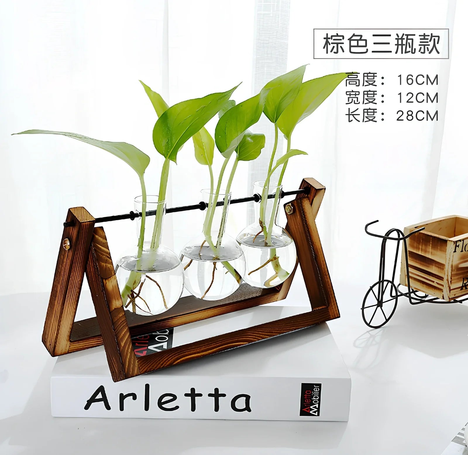 Glass tabletop plant with LED lighting in tempered glass enclosure measuring 15cm diameter