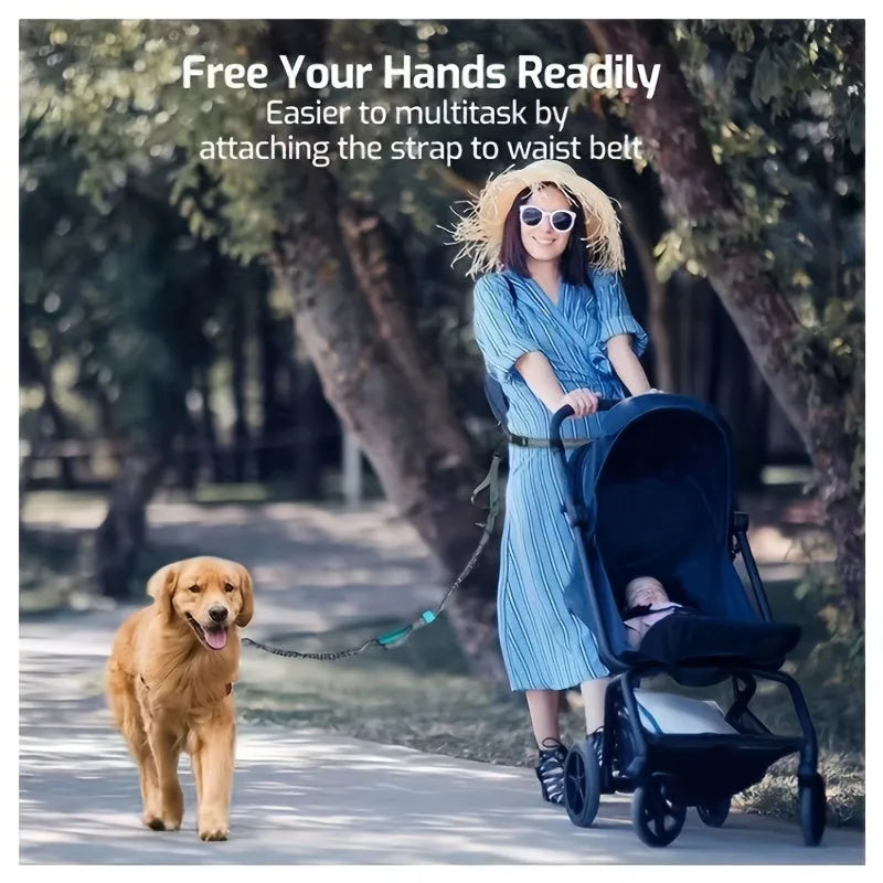 Nylon hands-free dog leash with adjustable waist belt shown in multiple colours
