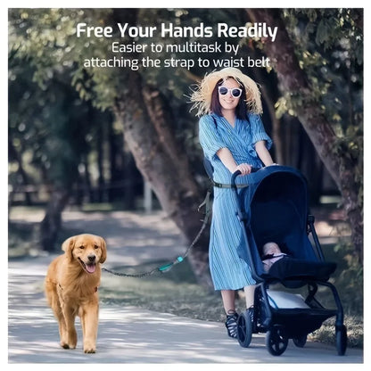 Nylon hands-free dog leash with adjustable waist belt shown in multiple colours