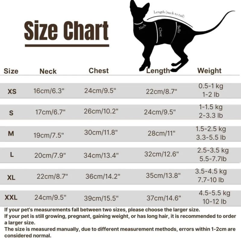 Sphynx cat wearing green dinosaur costume with tail and spikes