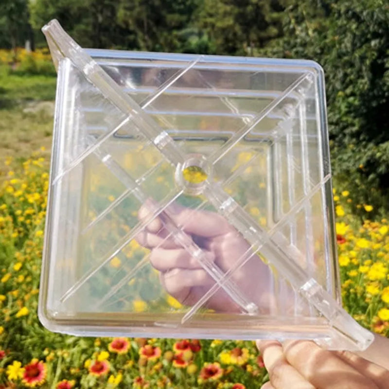 Transparent square plastic watermelon growth mould measuring 13cm for shaping fruits