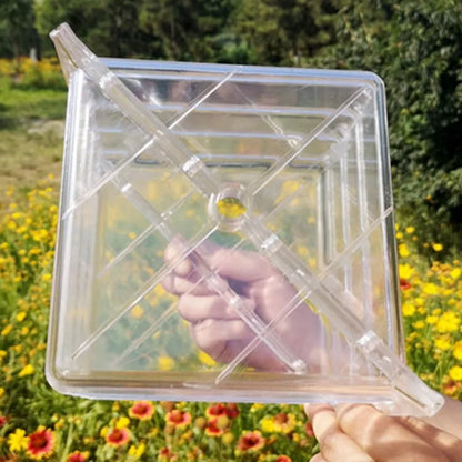 Transparent square plastic watermelon growth mould measuring 13cm for shaping fruits