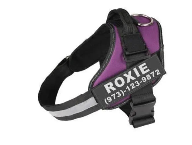 Adjustable reflective nylon dog harness vest with a sturdy handle and chest strap, shown on a size chart.