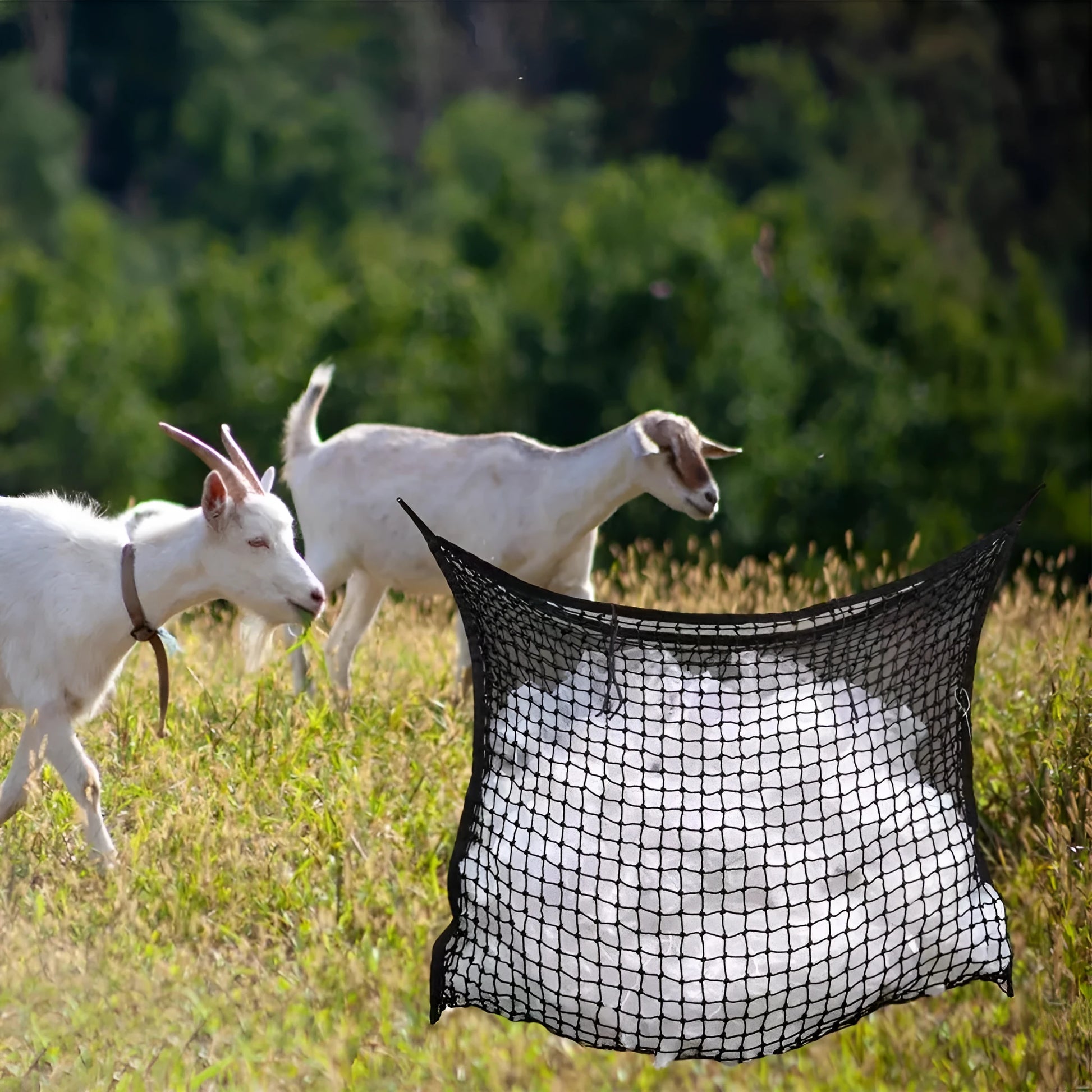 Black woven grid hanging feeding bag for horses, showing size and rope construction.