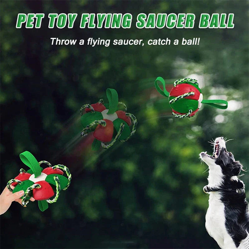 Versatile Frisbee-style dog toy with a unique shape-shifting design that transforms from a sphere to a flat Frisbee mid-flight, providing endless entertainment and exercise for your furry friend.