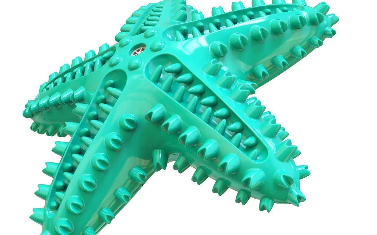 Starfish Vocal Pet Dog Toy Molar Stick in lake blue, yellow, and green