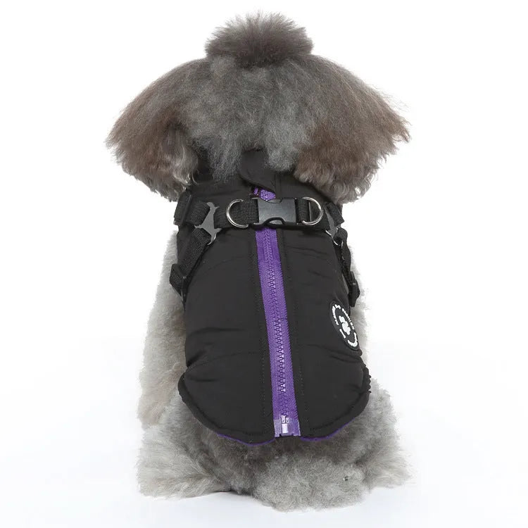 Chest strap dog jacket in polyester material showing harness-style design and cotton-padded construction