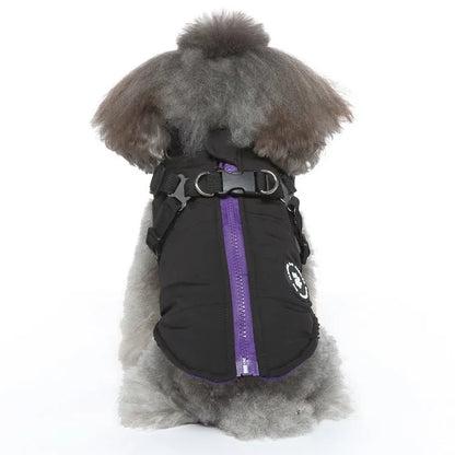 Chest strap dog jacket in polyester material showing harness-style design and cotton-padded construction
