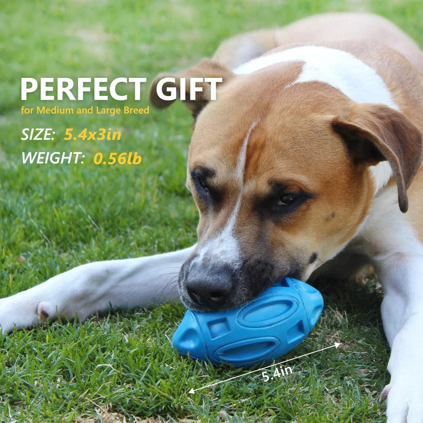 Blue green orange squeaky rubber chew ball dog toy for aggressive chewers