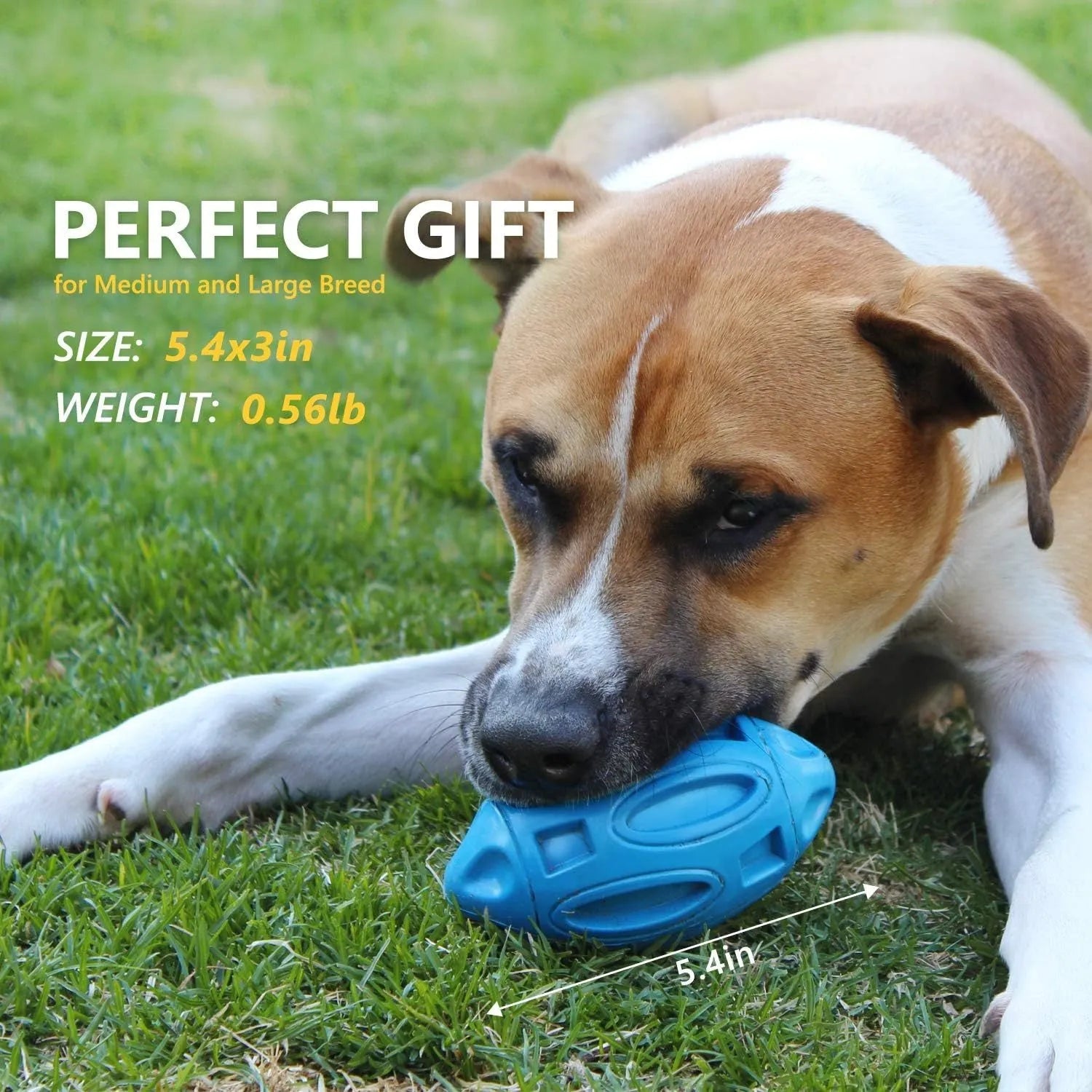 Blue green orange squeaky rubber chew ball dog toy for aggressive chewers