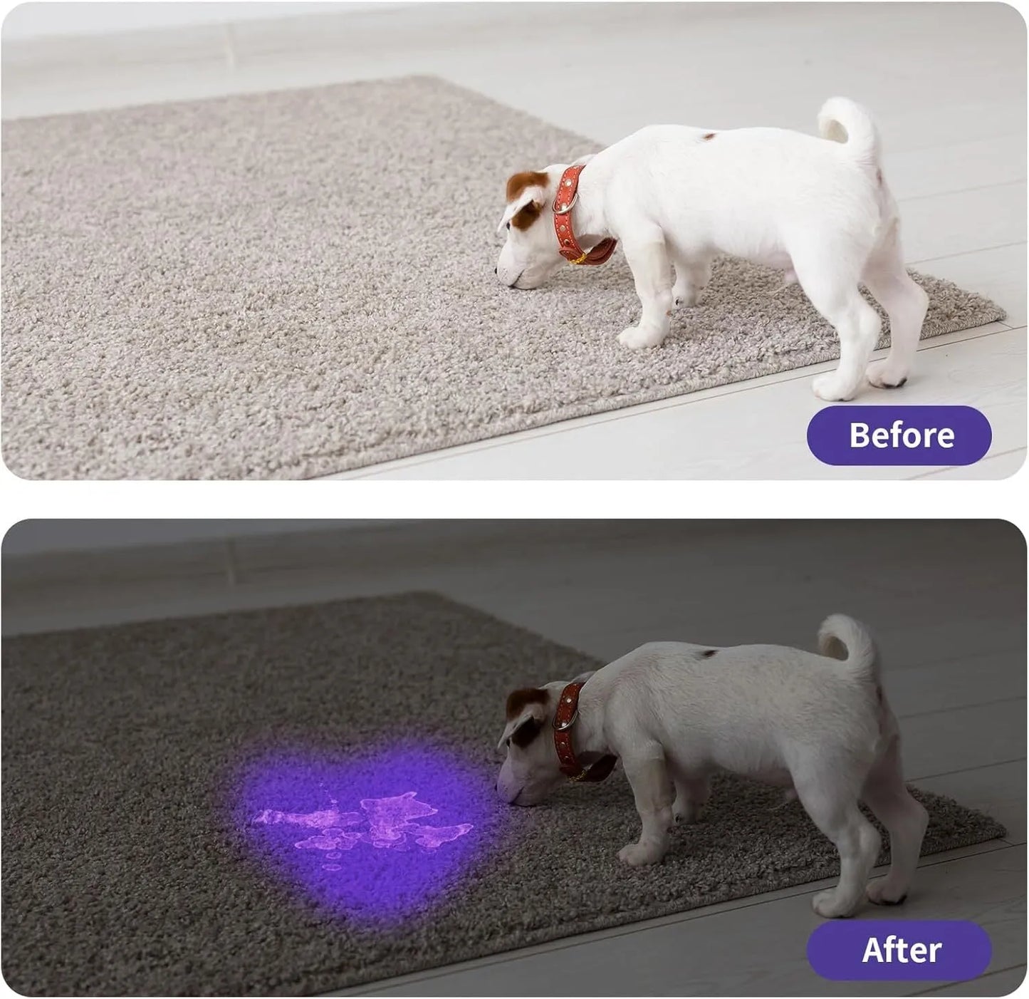 Black aluminium alloy UV flashlight torch for detecting pet urine stains and bed bugs.