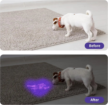 Black aluminium alloy UV flashlight torch for detecting pet urine stains and bed bugs.