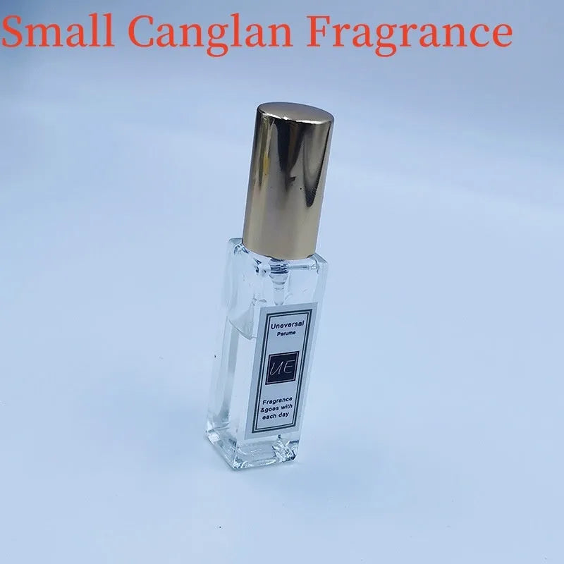 Car aromatherapy fragrant stone pendant with essential oil bottle on gift box