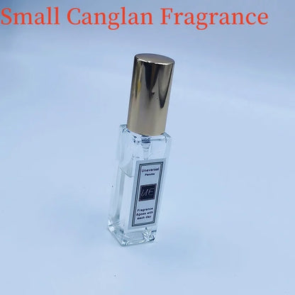 Car aromatherapy fragrant stone pendant with essential oil bottle on gift box