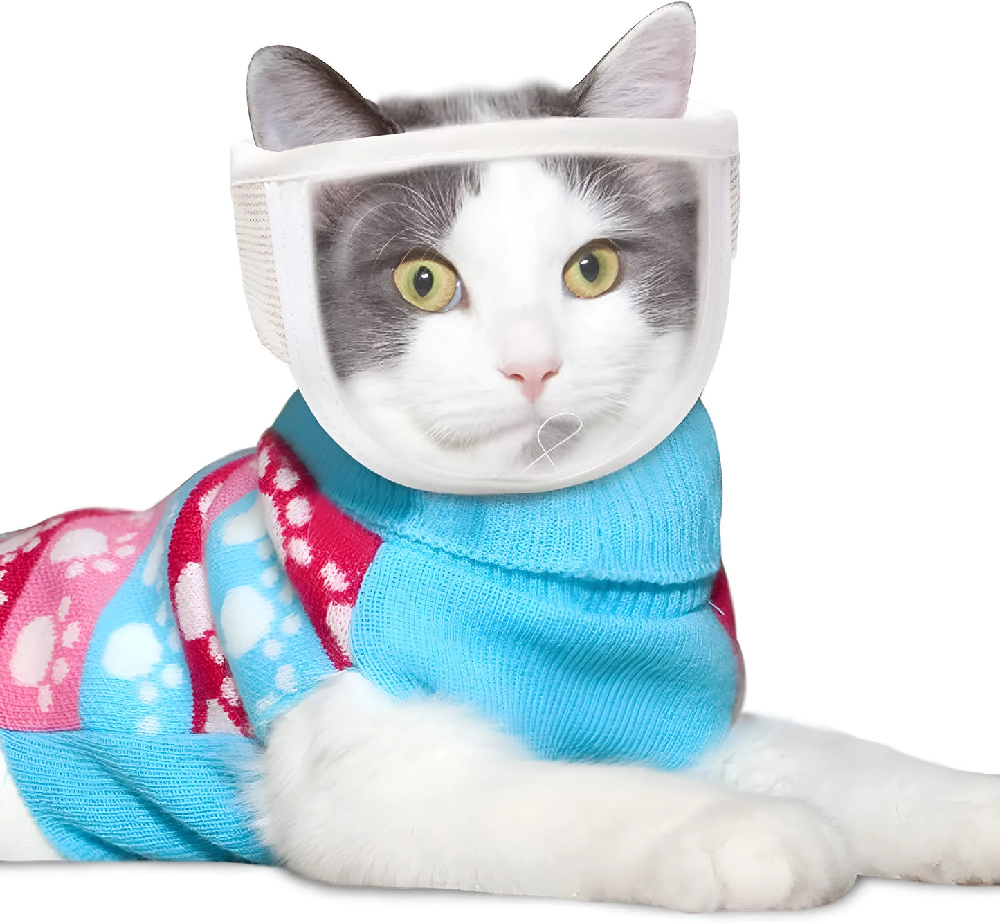 Clear transparent PVC and cotton cat muzzle with a centre breathing hole, shown in small and medium sizes.
