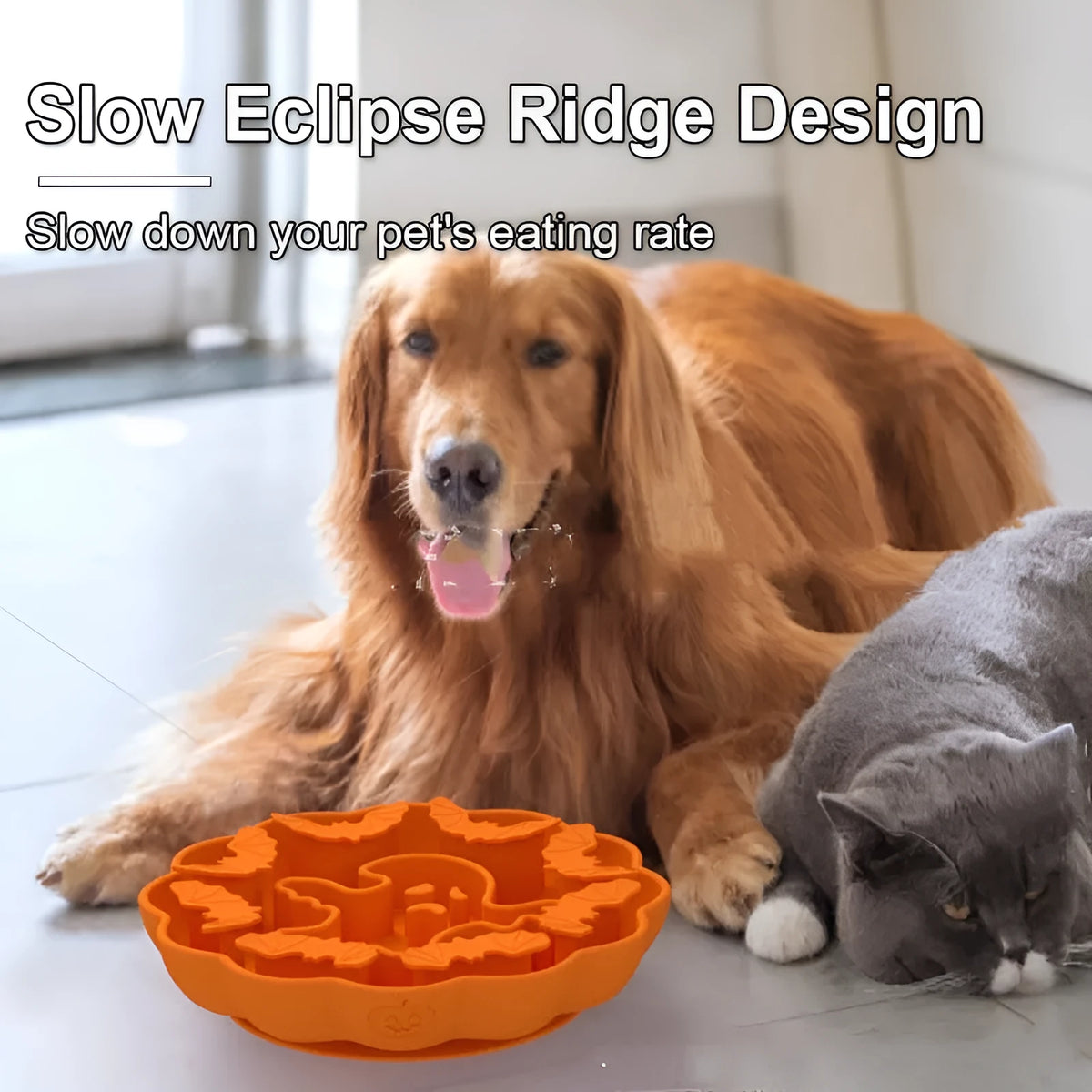 Edible silicone dog slow feeder bowl in multiple geometric shapes with raised interior pattern