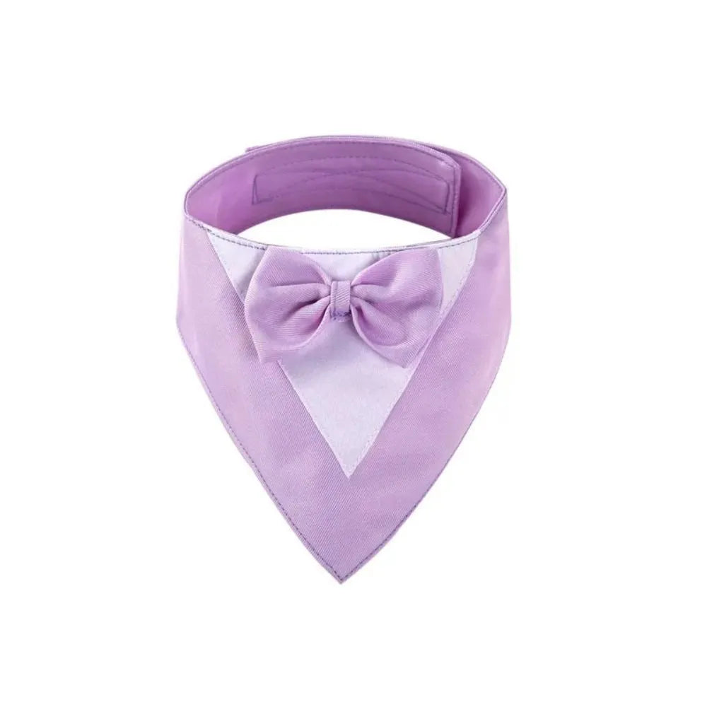Triangular pet bib with bow detail in assorted colours, shown on a dog as a scarf and drool towel.