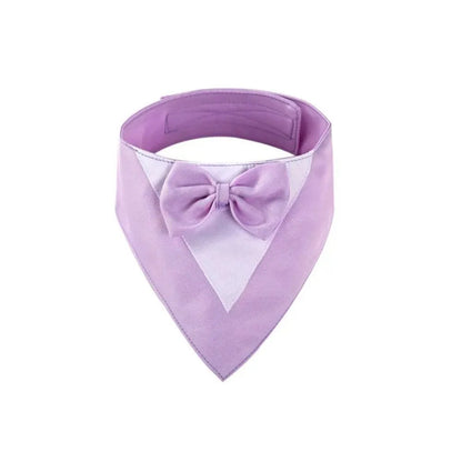 Triangular pet bib with bow detail in assorted colours, shown on a dog as a scarf and drool towel.