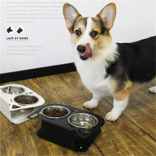 Anti-falling cat dog feeding water bowl in stainless steel with inclined design