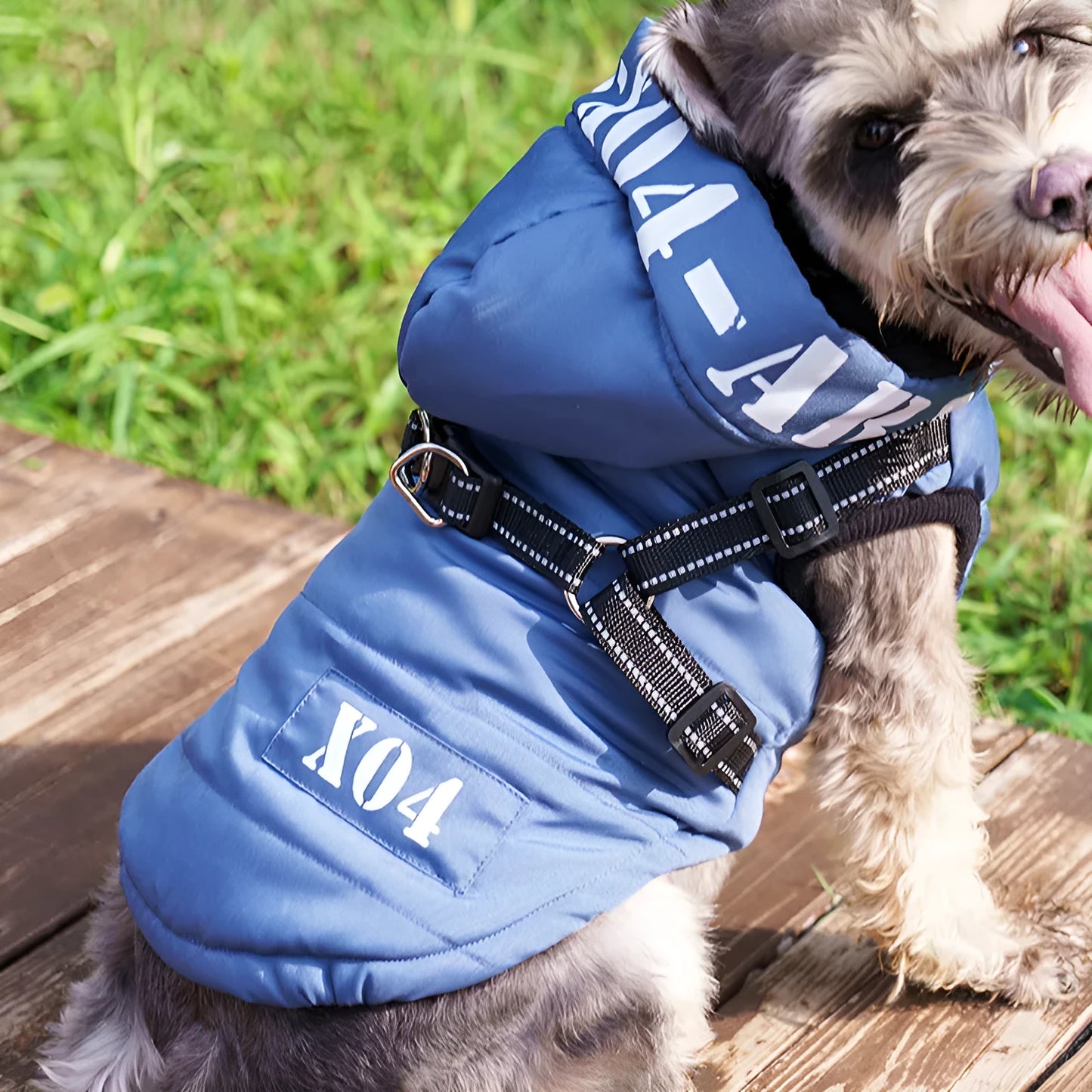 Red fleece-lined waterproof dog winter jacket with hood on a small dog