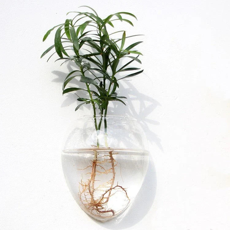 Wall-mounted glass flower vase and terrarium with various design options for customization and decoration