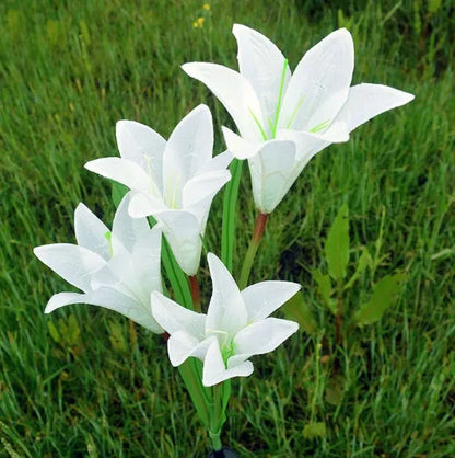 2 pack solar LED lily flower stake lights, purple and white, colour changing, IP65 waterproof, 26.5 inch garden decoration