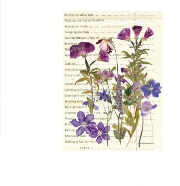 Herbarium Series DIY Plant Stickers pack featuring vibrant plant designs for creative projects