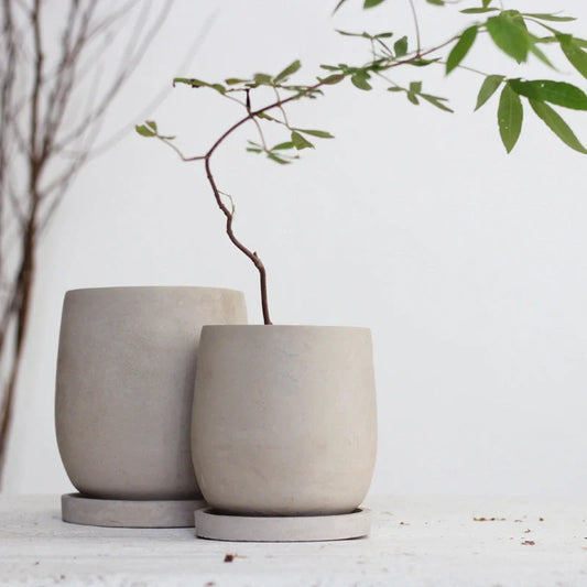 Round cement flower pot for plants, eco-friendly and stylish home decor